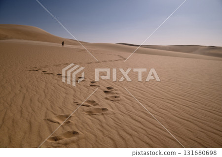 Footprints in a desert Footprints in a desert 131680698