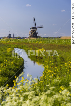 Kinderdijk windmills in Brandwijk, South Holland, Netherlands Kinderdijk windmills in Brandwijk, South Holland, Netherlands 131680938