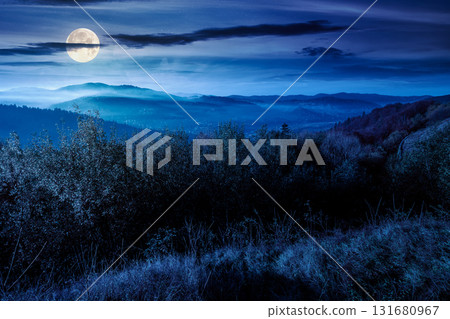 view from a mountain in to the foggy valley at night. beautiful autumn landscape. forested hills in full moon light. picturesque alpine countryside scenery 131680967