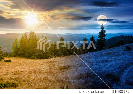 fir trees on a meadow down the hill to coniferous forest in mountains. day and night time change concept. highland landscape under cloudy sky in early autumn  with sun and moon at twilight 131680972