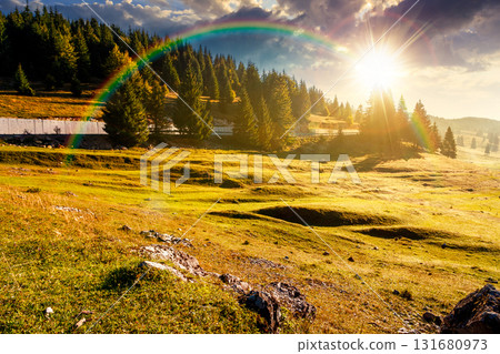 beautiful mountain landscape in autumn at sunset. coniferous forest in natural park. rural valley with grassy pastures on hills in misty weather. amazing countryside in evening light 131680973