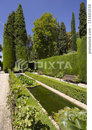 Generalife gardens with tranquil pool, trees, and hedges in Granada, Spain 131681016