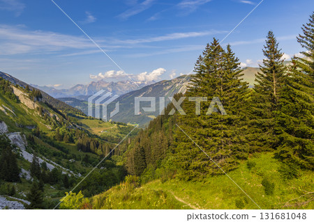French Alps mountain valley displaying green spruce trees, blue sky 131681048