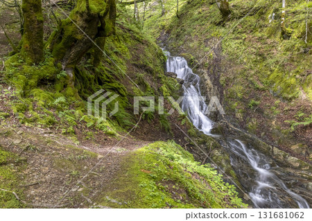 Flowing waterfall in the Pyrenees mountains near Ustou, France Flowing waterfall in the Pyrenees mountains near Ustou, France 131681062