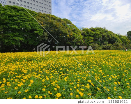 Kivanacosmos  Kivanacosmos 131681611