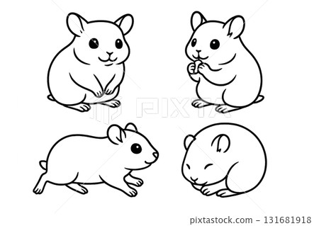 4 Cute Hamster Appearances | Transparent Background Line Art 131681918