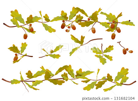 橡實枝和葉子邊框插圖 橡實枝和葉子邊框插圖 131682104