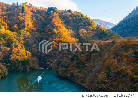 Shogawa Gorge (Autumn) Shogawa Gorge (Autumn) 131682774