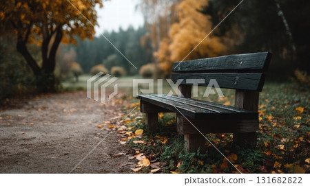 autumn park scene with a wooden bench autumn park scene with a wooden bench 131682822