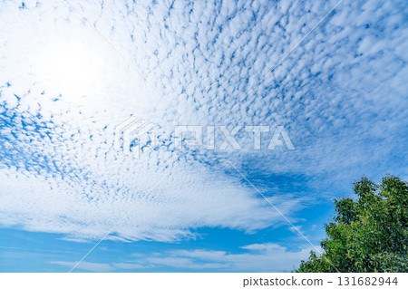 Autumn clouds and trees Autumn clouds and trees 131682944