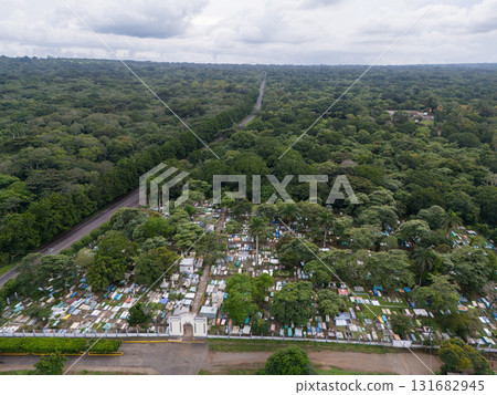Cemetery in green jungle 131682945