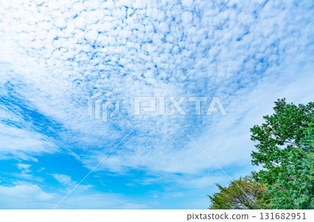 秋天的雲和樹 131682951