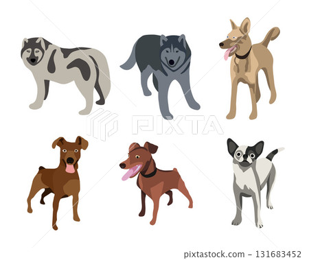 Vector isolated illustration of a set of different dog breeds. Vector isolated illustration of a set of different dog breeds. 131683452