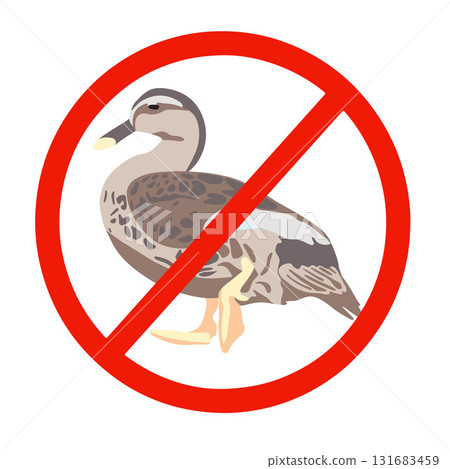 Vector isolated illustration of a ban on hunting wild ducks. Vector isolated illustration of a ban on hunting wild ducks. 131683459