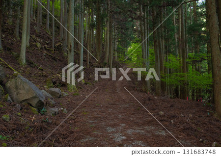 犬岳登山“鶯巢溪谷附近的登山路線” 犬岳登山“鶯巢溪谷附近的登山路線” 131683748