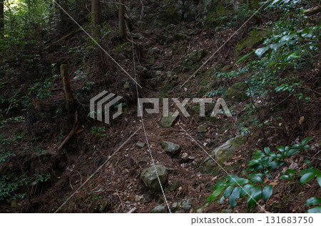 Inugatake Mountain Climbing "Hiking trail near Uguisu Valley" 131683750