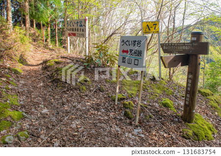 犬岳登山“溪道林道附近的登山步道” 131683754