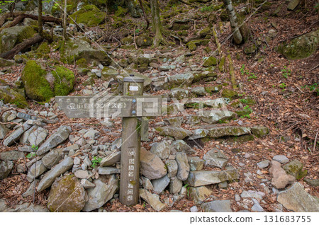 犬岳登山“溪道林道附近的登山步道” 131683755