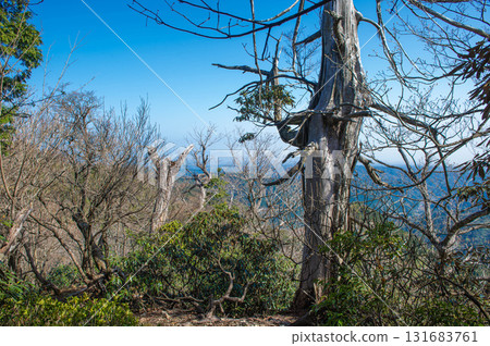 Inugatake Mountain Climbing "Hiking trail near the summit" Inugatake Mountain Climbing "Hiking trail near the summit" 131683761