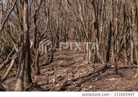 犬岳登山“大佐峠附近的登山路線” 犬岳登山“大佐峠附近的登山路線” 131683997