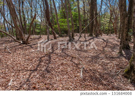 Inugatake Mountain Climbing "Remains of Suginoyado" Inugatake Mountain Climbing "Remains of Suginoyado" 131684008