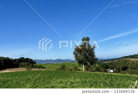 Biei-cho Biei-cho 131684138