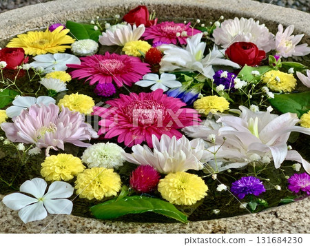 Colorful flower water basin in September (gerberas, chrysanthemums, lilies, roses, and daisies) at Sugao Shrine in Okazaki, Aichi Prefecture Colorful flower water basin in September (gerberas, chrysanthemums, lilies, roses, and daisies) at Sugao Shrine in Okazaki, Aichi Prefecture 131684230