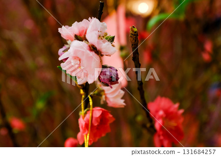 Close-up of peach blossom flower and tree. For Chinese new year celebration and decoration. Traditional decoration plant for Chinese New Year. Flower background. Close-up of peach blossom flower and tree. For Chinese new year celebration and decoration. Traditional decoration plant for Chinese New Year. Flower background. 131684257