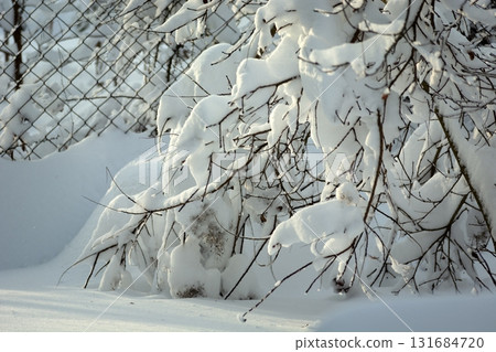 Lots of snow on the branches, winter day Lots of snow on the branches, winter day 131684720