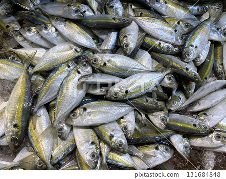 A heap of glistening silver fish laid closely on each other highlighting freshness and marine harvest texture. 131684848