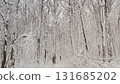 Snow covering trees in beautiful winter forest 131685202