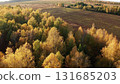 Golden autumn forest meeting brown empty field 131685203
