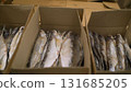 Stockfish drying and packaging process in cardboard boxes 131685205