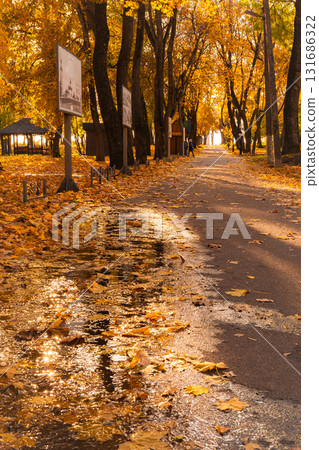 Leafy Autumn Pathway with Reflections and Distant Walkers 131686322
