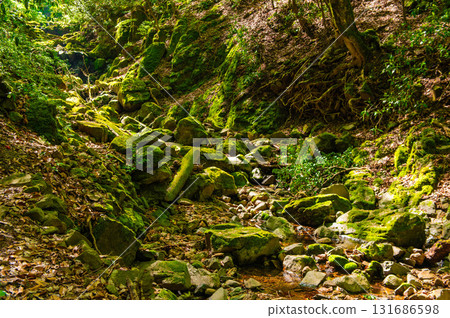攀登唐迫山“沿著登山道流淌的小溪” 131686598