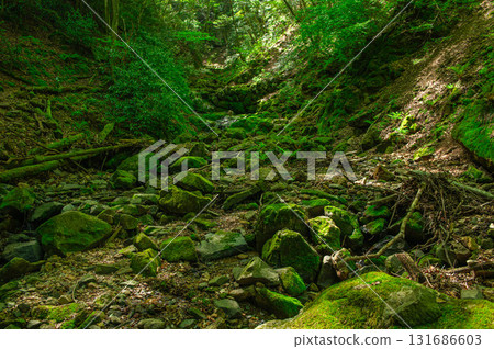 Climbing Mt. Karasako "A stream flowing along the hiking trail" 131686603