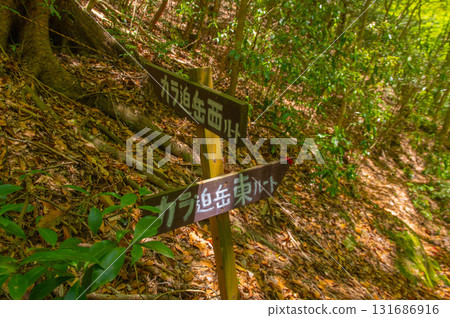 Climbing Mt. Karasako "The junction between the east and west routes" Climbing Mt. Karasako "The junction between the east and west routes" 131686916