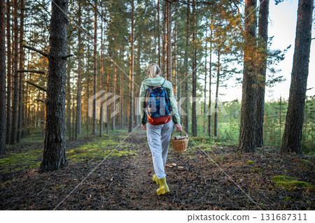 Woman backpacker walking through autumn forest collecting mushrooms into wicker basket rearview 131687311