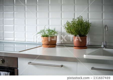 Organic herbs growing at home. Fresh green dill and thyme growing in clay pot in kitchen.  131687489
