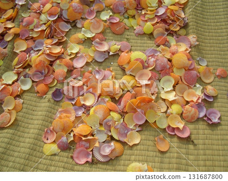 七彩豹殼 七彩豹殼 131687800