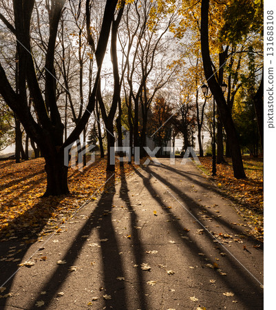 Autumn Park Pathway with Long Shadows and Leaf Blanket Autumn Park Pathway with Long Shadows and Leaf Blanket 131688108