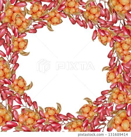 Watercolor illustration frame red barberry and orange cloudberry berries with green leaves in realistic botanical style. for packaging food branding autumn cards and eco friendly product design. Watercolor illustration frame red barberry and orange cloudberry berries with green leaves in realistic botanical style. for packaging food branding autumn cards and eco friendly product design. 131689414