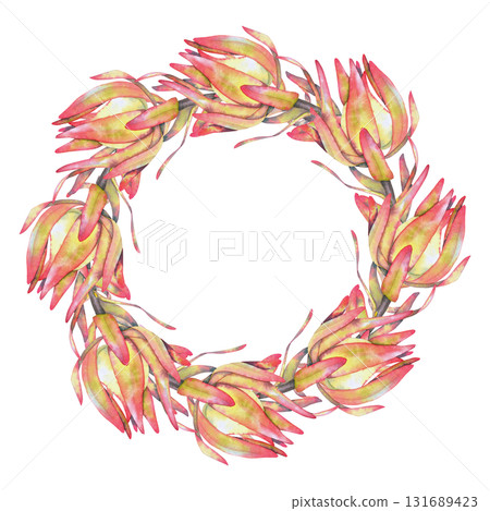 Watercolor wreath with pink and yellow leucadendron protea flowers, painted in a tropical botanical style. Perfect for natural cosmetics, eco packaging, wedding decor, and textile or print design. 131689423