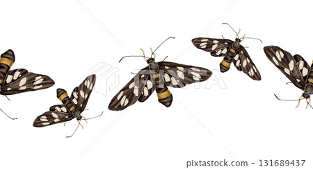 Seamless watercolor border with black moths Amata phegea also known as the nine-spotted moth. insects in black, white, and yellow. Ideal for packaging, textiles, stationery, and nature designs. 131689437