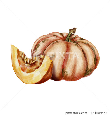 Watercolor illustration whole pumpkin and sliced piece with visible seeds in warm beige and orange tones in a realistic style. for autumn packaging, food design, cookbooks, and Thanksgiving themes. 131689445