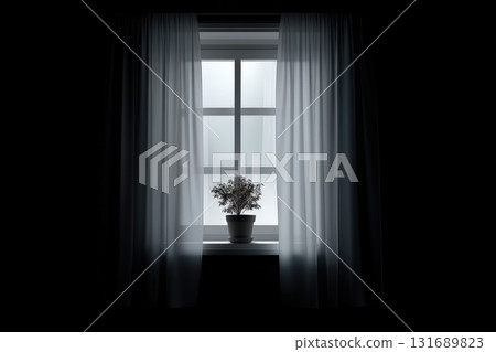 Plant on a windowsill behind sheer curtains creates a serene indoor atmosphere in soft light 131689823