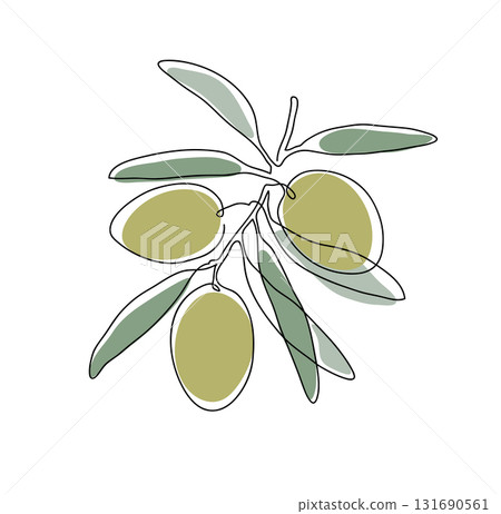 Olive branch. Modern single line art drawing. Continuous line drawing. Outline draw design color vector illustration 131690561