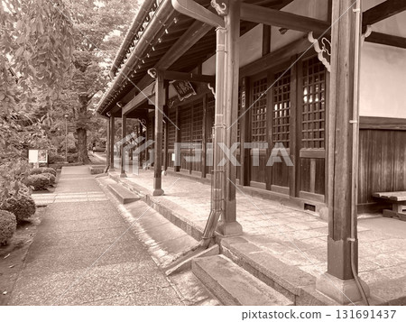 豪德寺的佛教寺廟和祈禱場所 豪德寺的佛教寺廟和祈禱場所 131691437