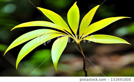 Vibrant, Detailed Close-Up of a Young Plant's Bright Yellow Leav 131691808
