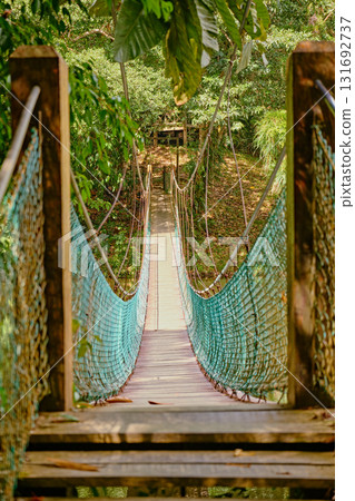 Sepilok, Sabah, Malaysia - Jan 2025: Forest canopy Sky Walk at the Rainforest Discovery Centre in Sepilok. 131692737
